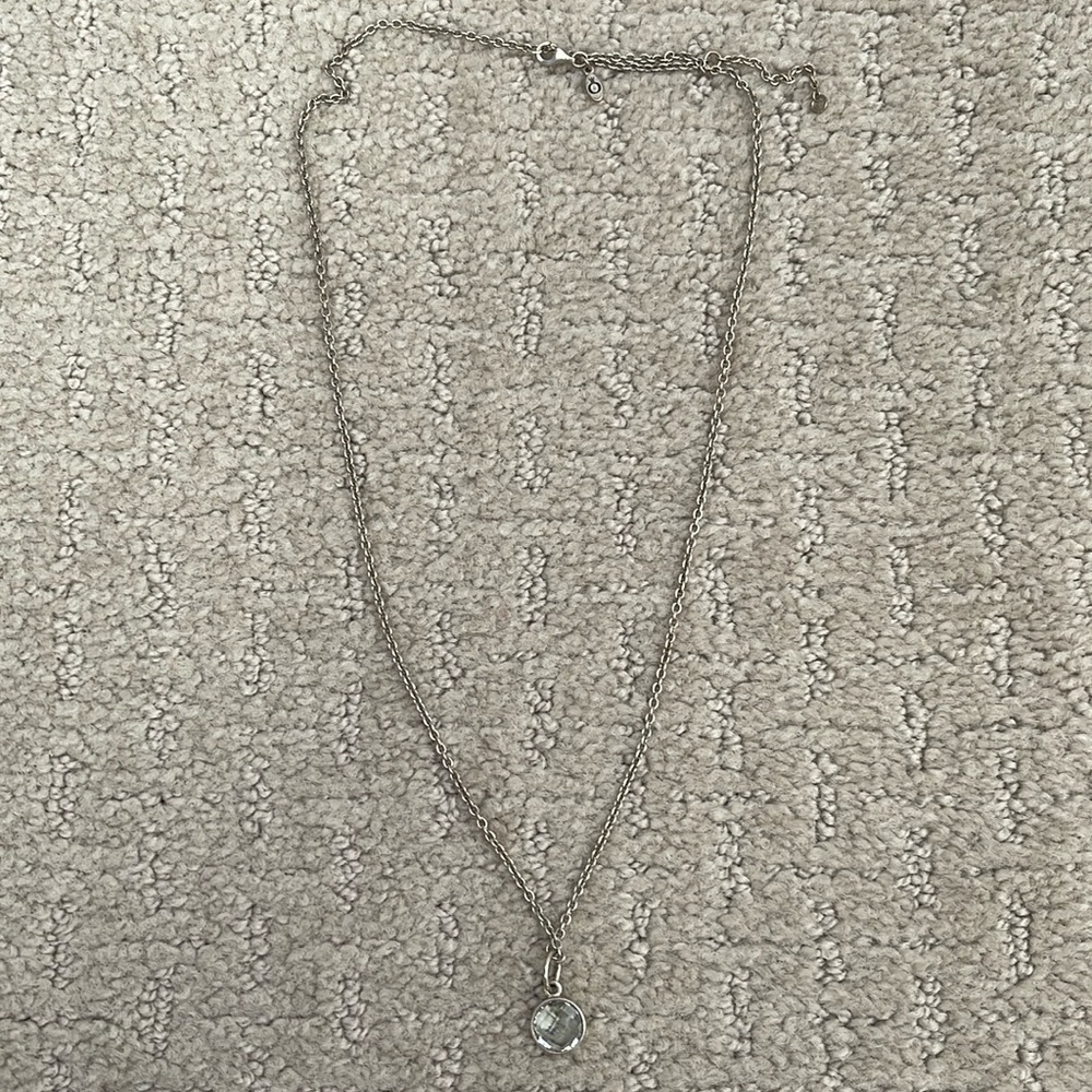 Adjustable Silver Pandora Necklace w/charm.